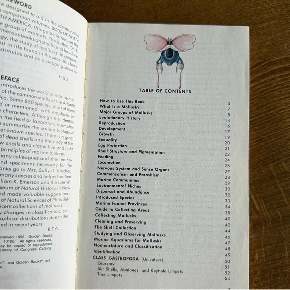 Seashells of North America A Guide to Field Identification - Picture 5 of 11